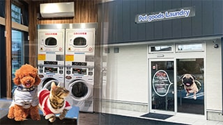 【事例つき】ペット専用ランドリーってどうなの？開業のメリット・デメリット
